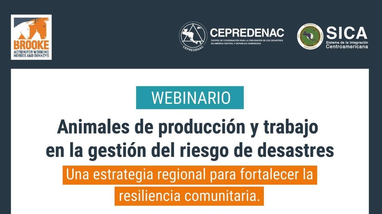 Webinario: “Animales de producción y trabajo en la gestión del riesgo de desastres”