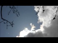 Memory (Cats) - Sung by Suzan Erens 
