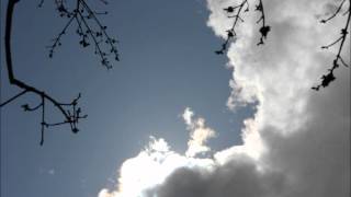 Memory (Cats) - Sung by Suzan Erens