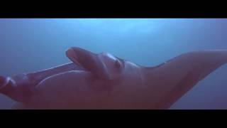Komodo South Liveaboard