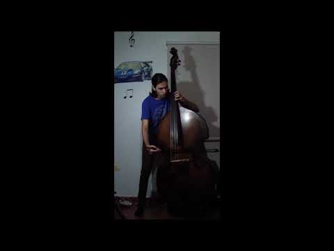 Moritzburg Festival Gabriel Martirené Double Bass Venezuela