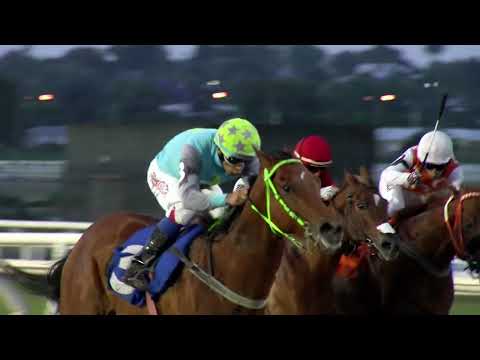 221125 c07 - 1° PALACIOS