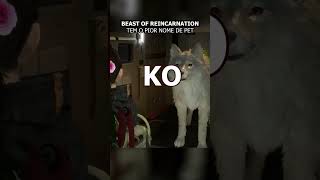 O PIOR NOME DE PET EM UM JOGO!