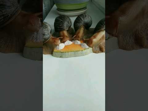 four funny African Snails eat Pumpkin 😍 #shorts
