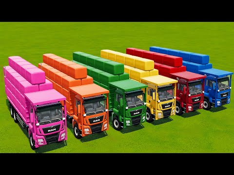 LAND OF COLORS ! HAY BALE TRANSPORTING WITH COLORED MAN TRUCKS! FS22