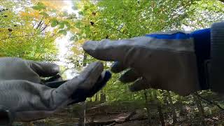 BEFORE CROSSING THE RIVER