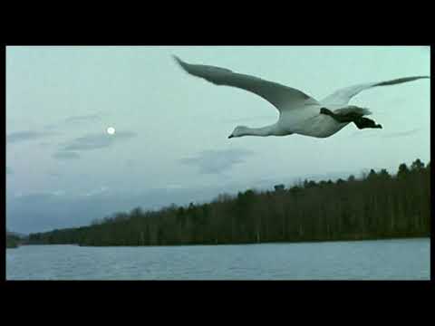 11a  U bent alles Heer