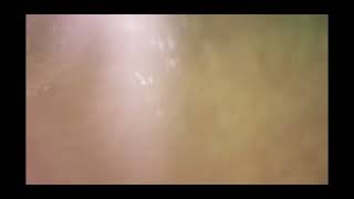 Alcest - Onyx (orginal and reverse)