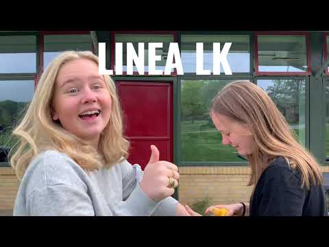 9.A Karensmindeskolen 2021 - Sidste skoledags nomineringsvideo.