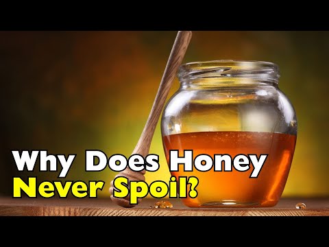 The Mystery of Honey: Why It Never Spoils