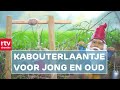 Kabouterkolonie opgedoken in Holthe | RTV Drenthe