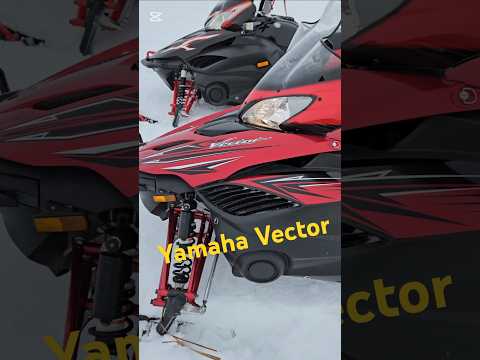 Yamaha Vector RS! Start up and take off. #yamaha #vector #snowmobile #saskboys #trailsled