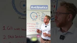 Antibiotics Explained in 2 mins!