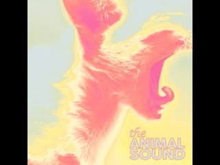 The Animal Sound - 