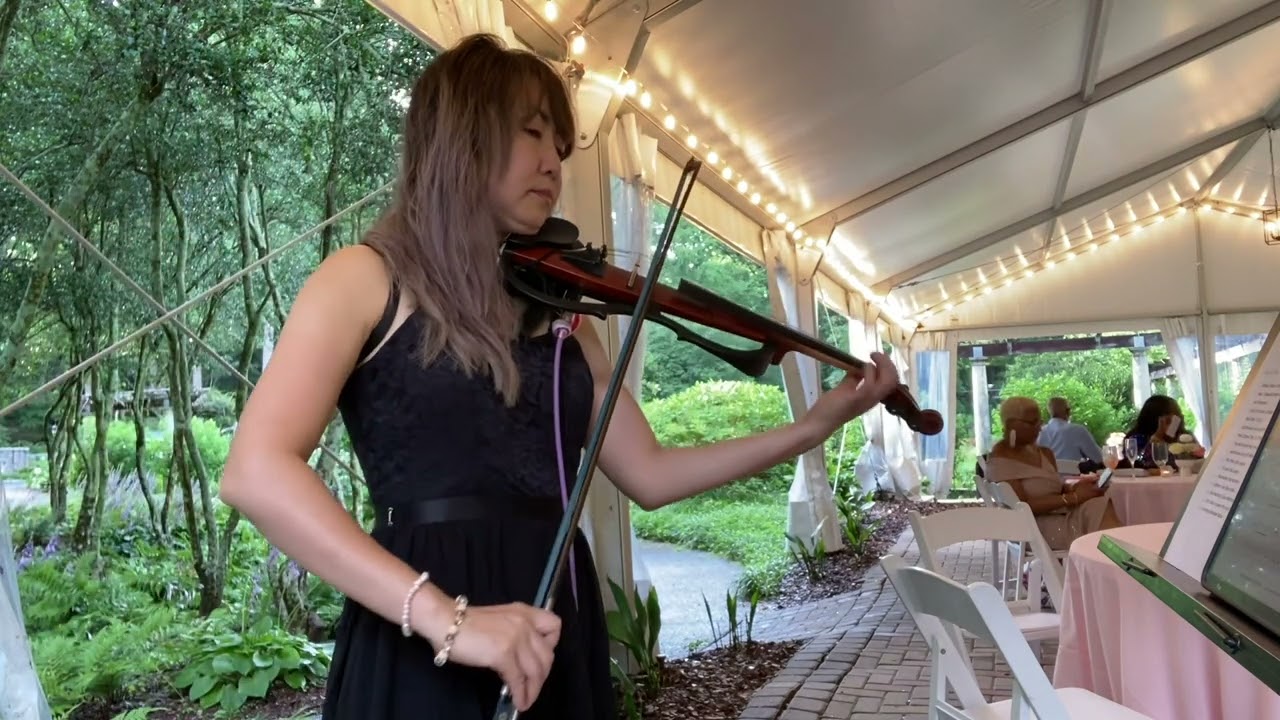 Promotional video thumbnail 4 for Mocha Ishibshi