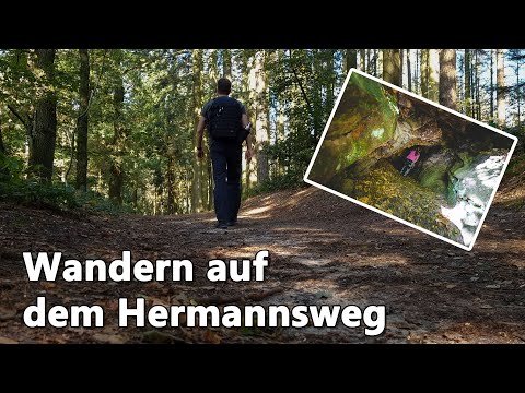 Wanderung mit meinen Kindern auf dem Hermannsweg | #matthiasrammes