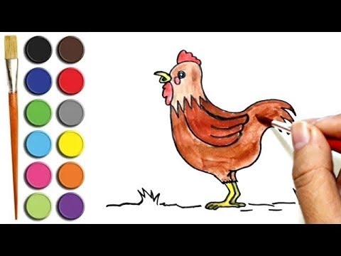  Mewarnai  Ayam  To Colour The Chicken Smotret Onlajn Na