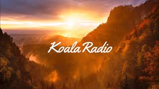 Cam Meekins - Wished For This