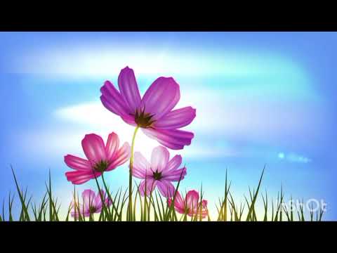 Grupul Eldad-Tu mă conduci/Negativ creştin