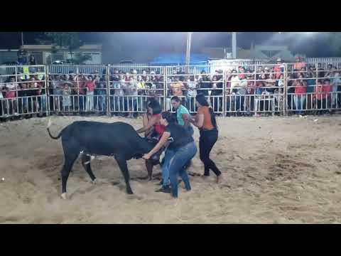 Rodeio em inajá  30/12/2022