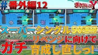 【ポケモンXY実況#番外編12】スーパーシングルに向けて再育成したら4日と7時間かかったｗ【厳選育成】【ゴーストタイプ統一旅】