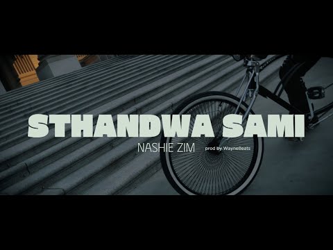 Nashie Zim - STHANDWA SAMI ( Visualizer)