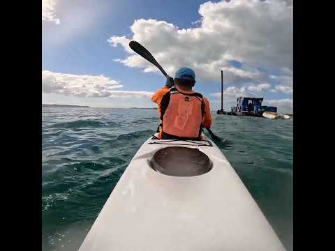 Funny looking boat #surfski #boat #kayaker #auckland
