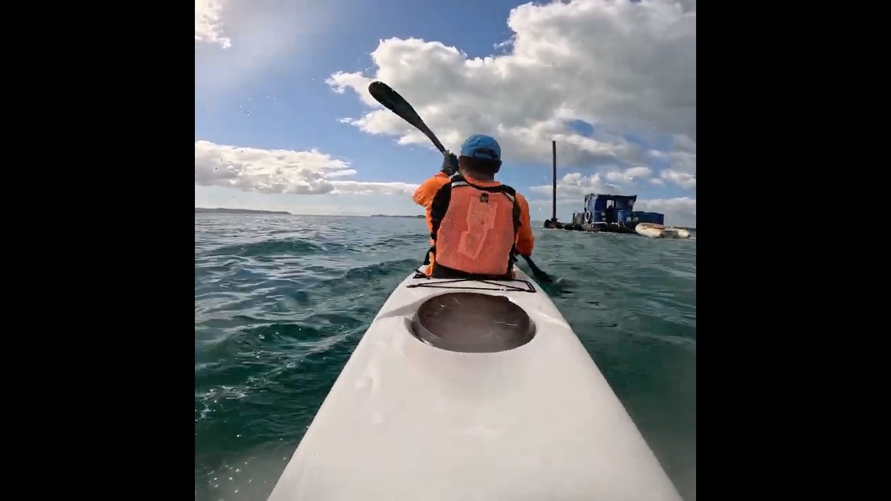 Funny looking boat #surfski #boat #kayaker #auckland
