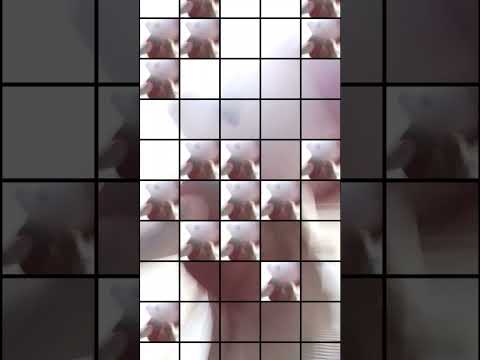 Marshall #memes #edit #funny