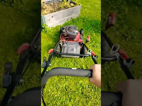 Näin homma hoidetaan