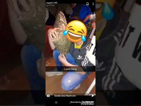 Negatiiv OG hat 969g auf dem Kopf//Negatiiv mit 17 Jahren