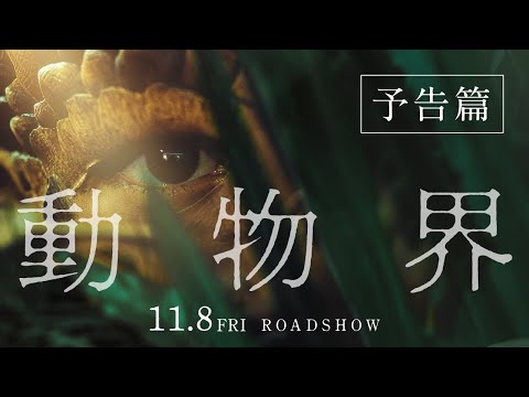 動物界
