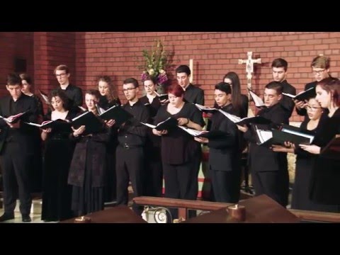 Camille Saint-Saëns: Calme des nuits