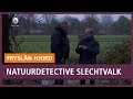 REPO: De Natuurdetective op zoek naar de slechtvalk
