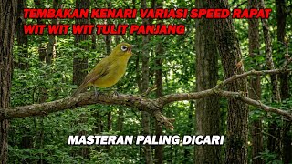 Download lagu PANCINGAN PLECI NEMBAK KENARI SPEED RAPAT VARIASI , WIT WIT WIT TULIT BIKIN LAWAN IKUT GACOR mp3