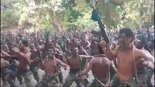 Download lagu Yel Yel Komando Latihan Pertempuran Prajurit Marinir ||  Pendidikan Komandan Dikko mp3