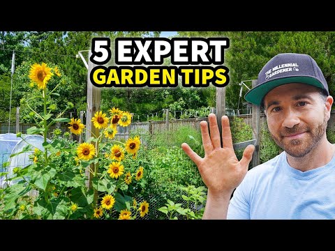 The Complete Gardener | Vibepedia