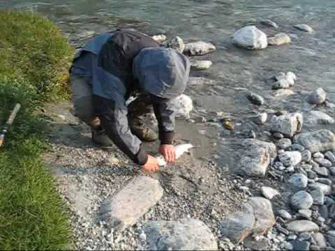 Lystfiskeri grønland.wmv