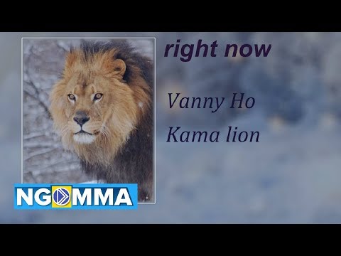 vanny ho - rigth now ( official audio  ) ( kama lion )
