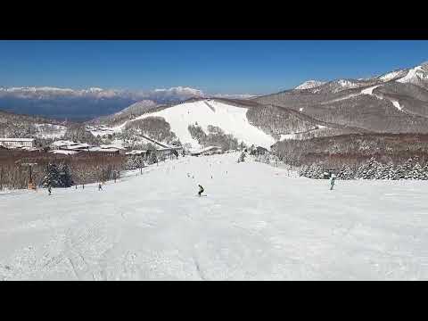 Video: 2022/3/19 志賀高原、人気の一ノ瀬ファミリー、正面ゲレンデを滑ってみました。