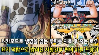 [원피스 1070화 심층분석] 기어5 니카의 부작용으로 죽을 위기에 처한 루피 죽음을 앞둔 루피를 위해 불로수술을 시전해 대신 죽는 로우