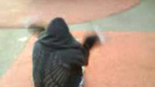 les amoureux dans le park