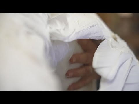 'Turkey cuddle therapy' attracts crowds to Tennessee animal sanctuary