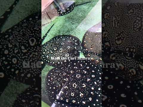 最高のロイヤルグレードのアロワナ魚 | Best Royal Grade Arowana Fish | Arowana Fish with Royal Colors #001234