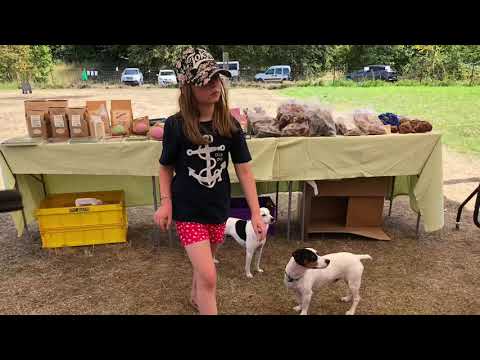 Großes Bodeguero Deutschland Treffen 2018 in Essen