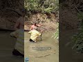 Old Man Grabs Electric Eel Bare-Handed! #fishing#electriceel