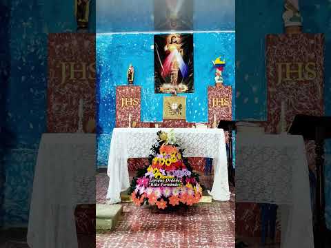 MERCADERES CAUCA COLOMBIA. 🇨🇴 CORR. SANJUANITO. DOMINGO 15  FEBRERO 2026. #enriqueokikefernández