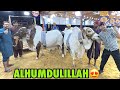 Finally Qurbani Ke Liye Do Janwar Leliye ️ Ghar Walon Se Chupkar