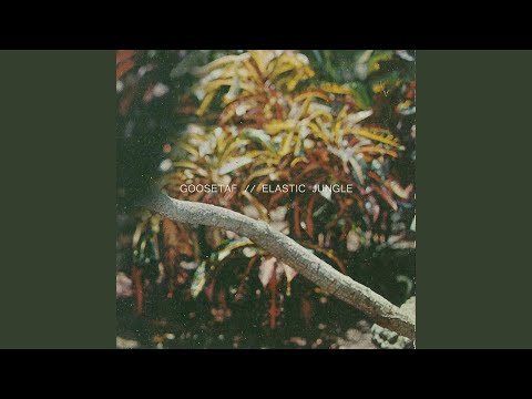 Video thumbnail for ​isolated