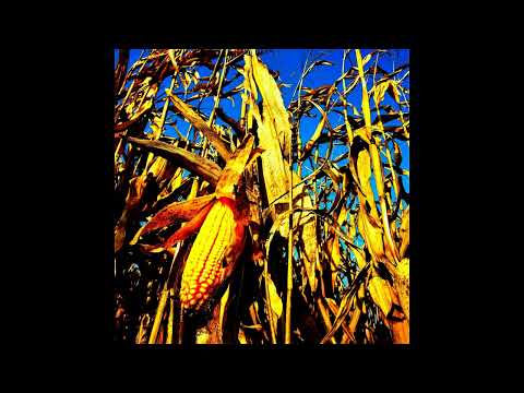 Seba Promyk - CATHARSIS BLUES